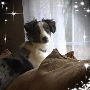 Meet your Posher, Shayla